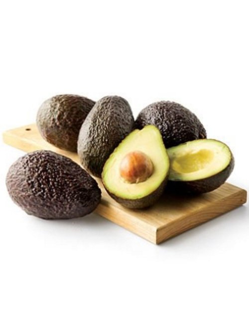 American Avocado